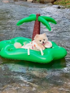 Bouée <span class=keywords><strong>gonflable</strong></span> pour chien en forme de cocotier, <span class=keywords><strong>lit</strong></span> flottant aquatique, transat d'extérieur pour animaux, jouet épaissi et portable en PVC, nouveau style, 5 kg - Product Image 1