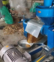 Presse à huile à vis 6YL-95 pour arachides, soja, noix de coco, 150 kg/h, acier au carbone, extracteur d'huile automatique