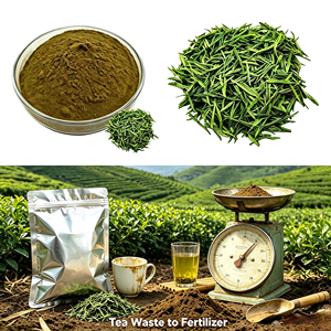 Extrait de thé vert 10:1 20:1, polyphénols de thé 50%-98%, EGCG 50% testé HPLC, vente en gros, OEM, ODM, directement de l'usine - Product Image 3
