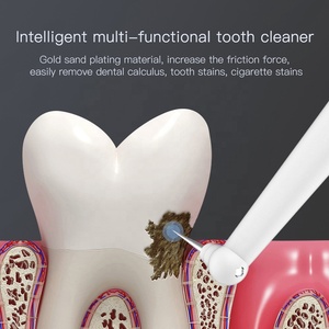 Impermeable adulto Blanqueamiento Dental Sonic portátil impermeable ultrasónico cepillo <span class=keywords><strong>de</strong></span> <span class=keywords><strong>dientes</strong></span> eléctrico <span class=keywords><strong>de</strong></span> <span class=keywords><strong>dientes</strong></span> <span class=keywords><strong>limpiador</strong></span> con cabezas <span class=keywords><strong>de</strong></span> cepillo - Product Image 2