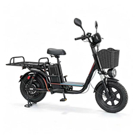Bicicleta Eléctrica Plegable de 16 Pulgadas, 500w, 800w, 1000w, 48v, 60v, 72v, con Llantas Gruesas, para Adultos