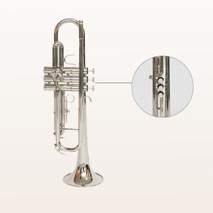 Çocuk bandı için profesyonel sınıf b-aşağı küçük boy trompet acemi enstrüman - Product Image 2