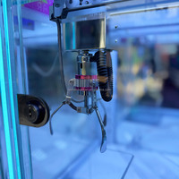 Nouvelle conception de mini machine à griffes à prix bas, à pièces, pour peluches anglaises en fer et métal, pour jeux d'arcade et distributeurs automatiques de jouets