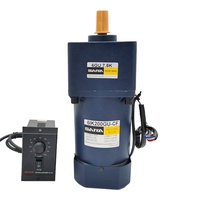 Moteur à engrenages à aimant permanent 5IK60GN-CF 60W 50Hz AC, moteur asynchrone monophasé avec montage à bride 220V