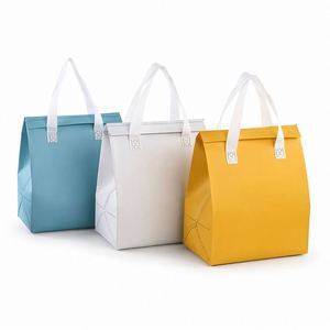 Sac isotherme personnalisé à double poignée, doublure en aluminium thermoscellée, fermeture auto-adhésive, sac de transport pour aliments chauds ou froids - Product Image 1