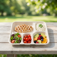 Barquettes alimentaires écologiques compostables en bagasse, assiettes jetables à 5 compartiments pour fêtes, restauration rapide et plats à emporter