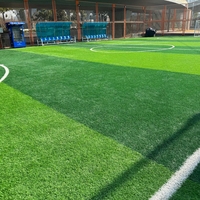Césped Deportivo Premium APEX al por Mayor, Compatible con OEM, Múltiples Opciones de Color, Césped Artificial para Canchas de Tenis, Uso Interior y Exterior