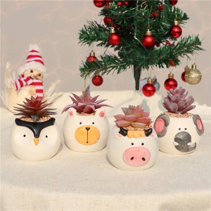 Maceta de Cerámica con Forma de Animal, Linda, para Plantas, Adorno de Escritorio, Decoración del Hogar, Maceta de Jardín, Maceta de Cerámica para Suculentas - Product Image 4