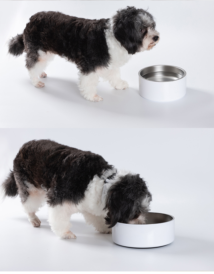 BestSub Custom 42oz 1250ml Sublimation Blanks Stainless Steel Puppy Bowl Dog Food Water Bowls