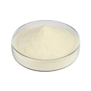 Lifecare Supply Pineapple Extract Bromelain Enzyme Powder Bromelin Powder