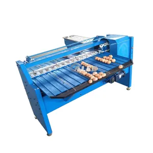 automatic egg grader chicken egg sorting grading machine for sale