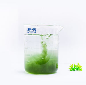 Concentré d'<span class=keywords><strong>Ascophyllum</strong></span> <span class=keywords><strong>Nodosum</strong></span>, extrait liquide d'algues riches en alginate pour toutes les plantes - Product Image 3