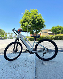 Bicicleta Eléctrica Económica de 26 Pulgadas, Motor sin Escobillas de 500W 48V y Batería de Litio de 13Ah para Ciudad y Nieve - Modelo de Bicicleta - Product Image 4