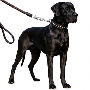 Laisse de traction à huit brins pour chiens de taille moyenne à grande, en matériau Cortex – Corde de promenade pour <span class=keywords><strong>Golden</strong></span> Retrievers et Berger Allemands - Product Image 1