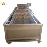 Fabriek die machines voor het reinigen en steriliseren van groenten en fruit levert