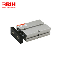Cylindre pneumatique Airtac série RIH TN, double tige de piston, en alliage d'aluminium, cylindre pneumatique compact avec anneau magnétique