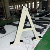 Lettres en relief 3D personnalisées en acrylique avec éclairage frontal, enseigne LED, panneau lumineux extérieur, fabricant d'enseignes, signalétique commerciale extérieure
