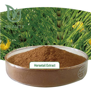 Poudre d'extrait de prêle en silice 80% organique Supplément à base de plantes de haute pureté pour les soins de la peau Sac de pièces de feuilles d'herbes de qualité alimentaire - Product Image 1