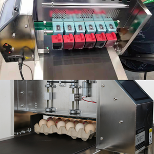 Proveedor Chino de Máquinas Impresoras de Huevos por Inyección de Tinta, Máquinas de Codificación HD, Impresoras de Huevos de Gallina por Inyección de Tinta en Oferta con Precios Económicos - Product Image 3