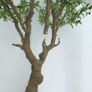 Plástico <span class=keywords><strong>Big</strong></span> <span class=keywords><strong>Pot</strong></span> Plantas 240cm <span class=keywords><strong>Artificial</strong></span> Olive Leaf Tree para decoração <span class=keywords><strong>Home</strong></span> Indoor Outdoor - Product Image 4