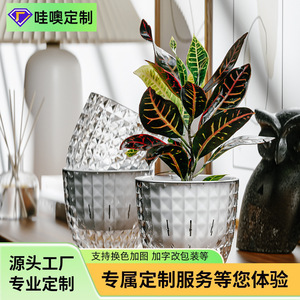 Pot de fleurs transparent en plastique pour bureau, auto-arrosant, pour hydroponie et culture aquatique, fabriqué par moulage par injection - Product Image 5