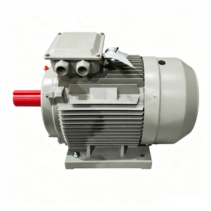 Motore a induzione trifase da 15 kW, 400 <span class=keywords><strong>V</strong></span>, 50 Hz, per attuatore HVAC, attuatore serranda, unità di trattamento aria e controllo ventilazione - Product Image 1
