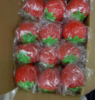 Lot de 9 jouets Squishy Géants en Forme de Fruits, en TPR à Remontée Lente, Jouet Sensoriel Anti-Stress pour Enfants, Cadeau de Fête
