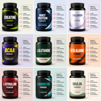 Poudre de créatine OEM ODM, protéines de lactosérum, collagène, BCAA, L-glutamine, bêta-alanine, L-citrulline, L-carnitine, inuline en poudre en conserve
