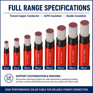 Câble <span class=keywords><strong>solaire</strong></span> à double cœur TUV EN 50618 H1Z2Z2-K 1500V DC en cuivre étamé, 2 conducteurs, résistant aux UV, pour système domestique - Product Image 5