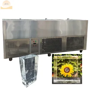 Máquina para hacer bloques de hielo de cristal puro, fabricante profesional de ladrillos transparentes grandes, 5t, 10 toneladas, comercial, nigeriano, 1000kg