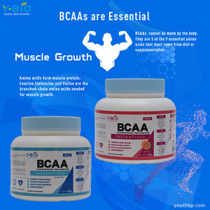 Poudre de <span class=keywords><strong>BCAA</strong></span> de qualité alimentaire 500g Marque YOUTH Utilisateurs de salle de sport adultes Soutient la masse musculaire Améliore l'endurance Soulage la fatigue sportive - Product Image 3