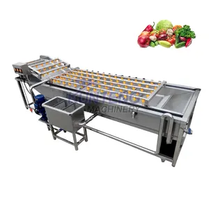 Spray elettrico apple lavatrice frutta e verdura per la lavorazione di verdure foglia di aglio macchina per la pulizia