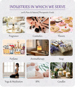 थोक सर्वश्रेष्ठ गुणवत्ता वाला टेट्रामिथाइल पाइरेज़िन कैस 1124-11-4 पौष्टिक भुना हुआ स्वाद - Product Image 6