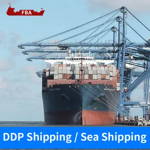 Top 1 ddu sea freight forwarder to USA Mexico Portugal Romania Netherlands Europe door to door service
