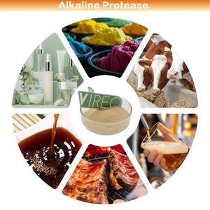 مسحوق إنزيم البروتياز القلوي لتربية الأحياء المائية - Product Image 3