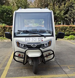 Tricycle électrique à trois roues tuktuk, nouveau type de taxi indien, bolide auto bakala, espace extra-large