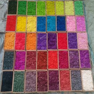 มอสกวางเรนเดียร์แห้งที่มีเสถียรภาพมอสธรรมชาติสีเขียวธรรมชาติที่แท้จริงสำหรับการตกแต่งผนังสำหรับวันอีสเตอร์วันอีสเตอร์ที่สำเร็จการศึกษา - Product Image 6