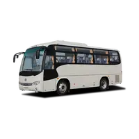 Higer Bus KLQ6796 Pabrik Pabrik Berbagai Kota Bus Pesta 50 Tempat Duduk Bus