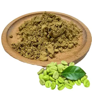 Factory supplygreen coffee bean extract capsule best quality hotsell of green coffee bean extract