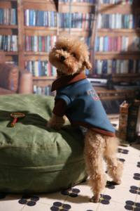 Wholesale Vintage Pet Tank <strong>Top</strong> Soft Fleece Dog Vest Embroidered Puppy Shirt Casual Pet Apparel for Dogs and <strong>Cats</strong> - Product Image 5
