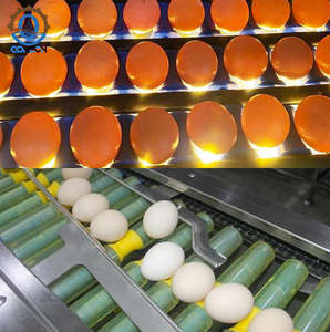 Hoog rendement automatische eierenverwerkings-, sorteer- en verpakkingslijn, op maat gemaakte eieren sorteermachine, verpakkingsmachine productielijn - Product Image 6