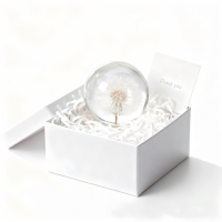 Pissenlit séché naturel résine artisanat créatif maison décoration intérieure cadeau commémoratif personnalisé pour bureau d'étude