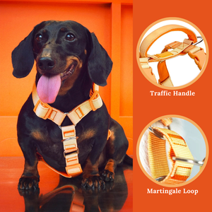 人間工学に基づいたマーチンゲール式ノープルハーネス 犬用 ソフトネオプレンパッドと高密度ナイロン製で一日中快適な着用感 - Product Image 4