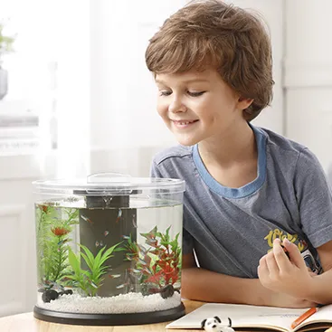 Mini aquarium avec filtre et lumière LED Aquarium Tropical Freshwater Acrylic Small Betta Fish Tank