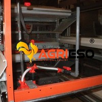 Système de cage à poules pondeuses de type H avec ligne d'alimentation et d'abreuvement entièrement automatiques et système de collecte des œufs pour élevages commerciaux de poules pondeuses
