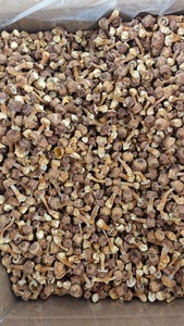 Yunnan Specialty Direct Mayorista Seco <span class=keywords><strong>Agaricus</strong></span> Blazei Setas Especialidad brasileña Hierba comestible de hongos - Product Image 6