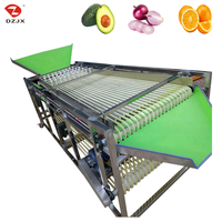 DZJX automatique fruits légumes tri coupe Machine à laver pomme de terre tomates classement Machine ail tri trieur