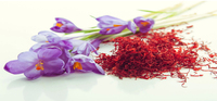 Échantillon gratuit de Ciyuan avec l'extrait de Safranal Crocus Sativus poudre d'extrait de safran
