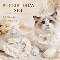 Ensemble chapeau et collier à volants pour fête d'anniversaire d'animaux de compagnie avec décoration en dentelle et nœud