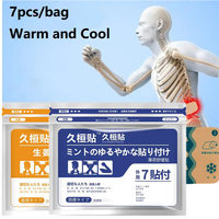 Patch au gingembre à base de plantes efficace, en plastique, classe I, durée de conservation de 2 ans, ingrédients naturels purs, soulage la douleur, usage externe contre le froid
